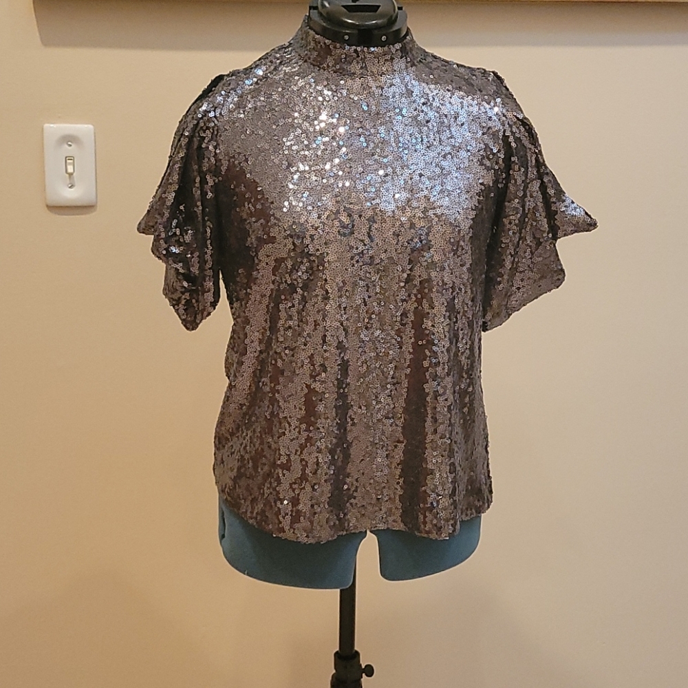 Ann Taylor, MP, Silver Sequence